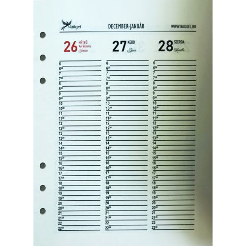 Nailgel deadline diary-internal / calendar 2025 - English language A5